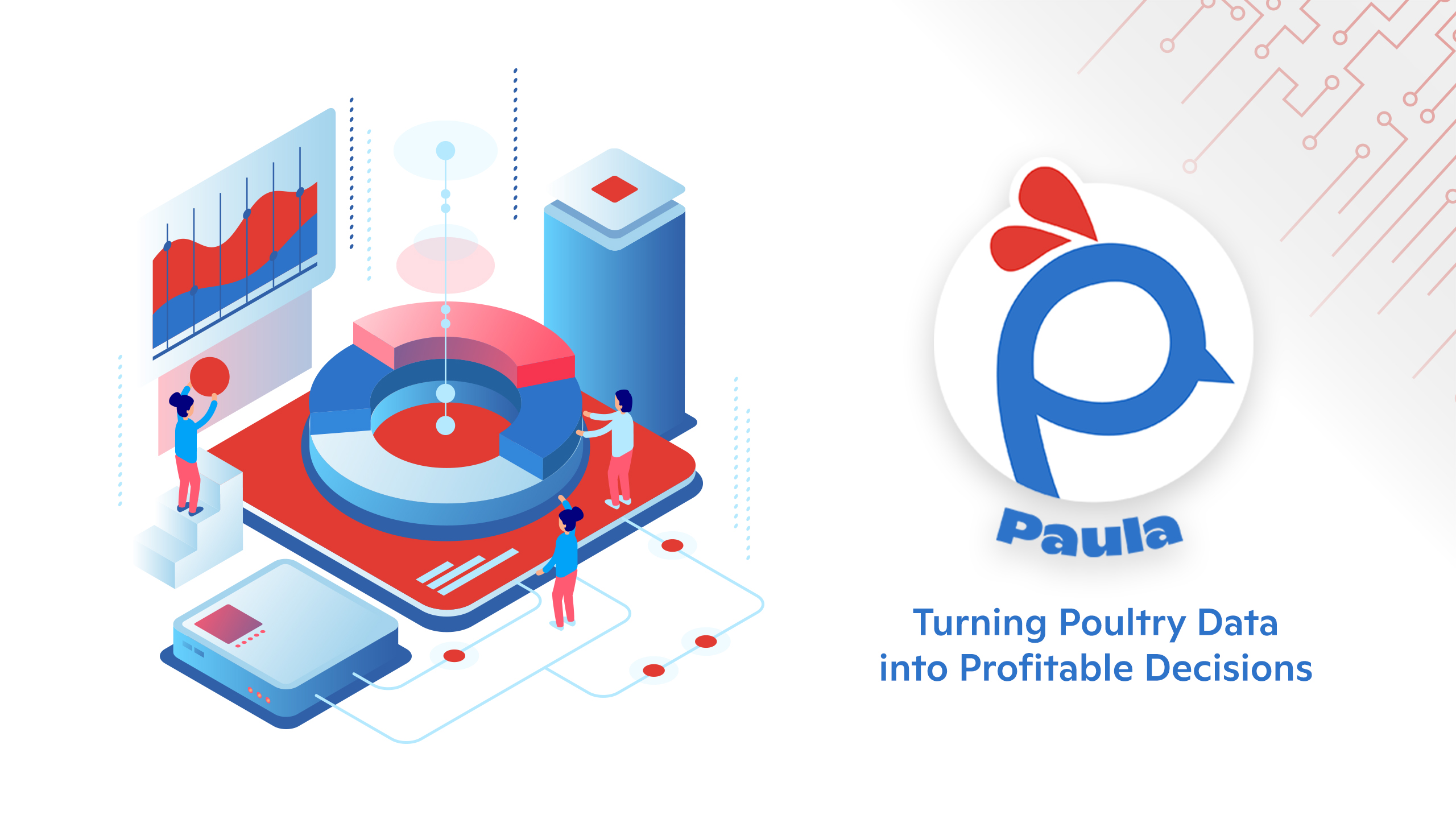 Turning Poultry Data into Profitable Decisions: How AI Is Transforming the Industry